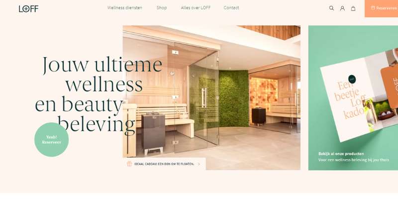 6-9 Top Notch Wellness Websites with Lovely Designs