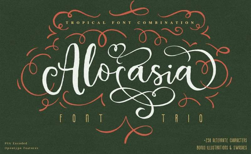 Alocasia-1 Romantic Fonts That Will Make Your Heart Flutter