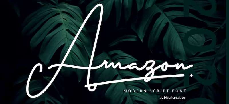 Amazon-Elegant-Script-1 The Best Travel Fonts for Your Design Projects