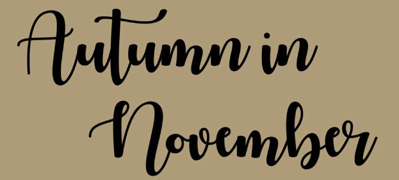 Autumn-in-November-Font-1 Stunning Autumn Fonts to Add a Cozy Touch to Your Designs