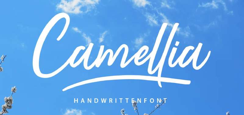 Camelia-Script-1 Romantic Fonts That Will Make Your Heart Flutter
