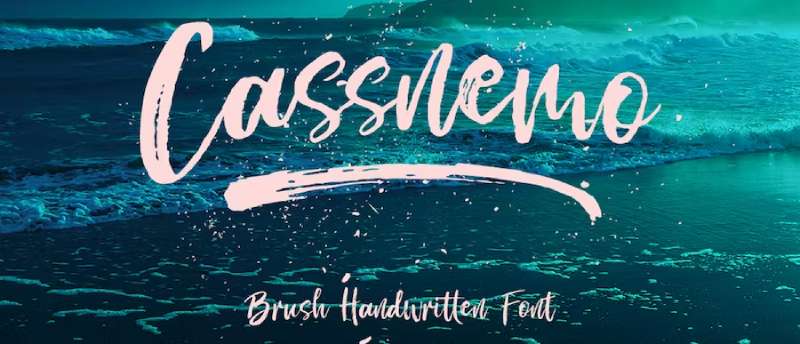 Cassnemo-Textured-Script-Font-1 A Look at the Most Popular Textured Fonts
