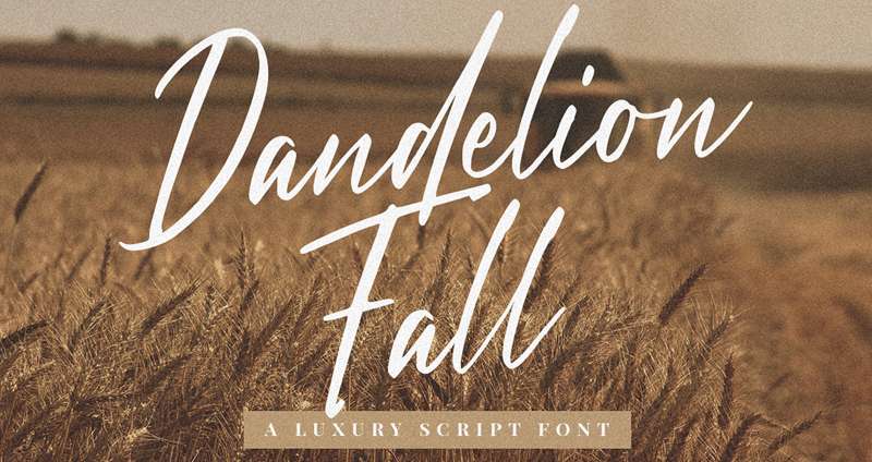 Dandelion-Fall-Font Stunning Autumn Fonts to Add a Cozy Touch to Your Designs