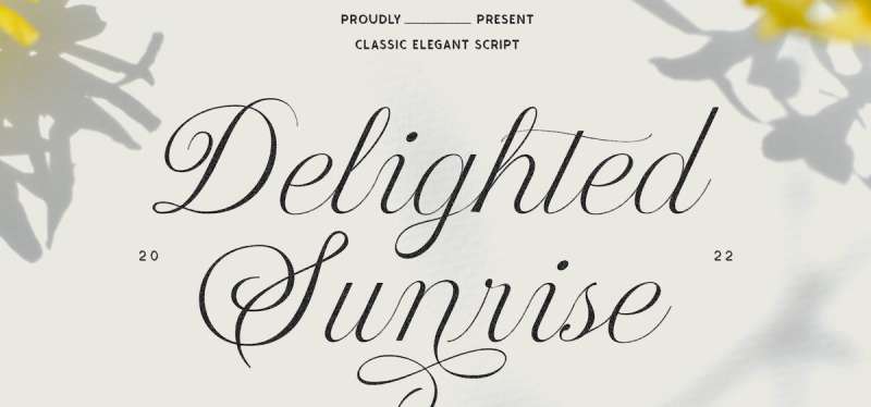 Delighted-Sunrise-Elegant-Wedding-Script-Font-1 Royal Fonts For a Touch of Elegance to Your Branding