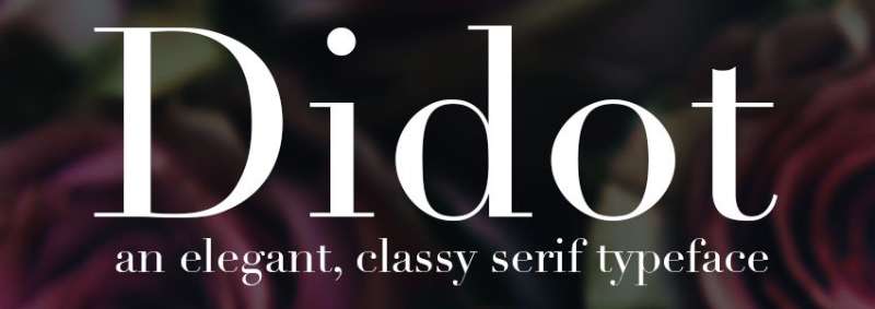 Didot-1 Exquisite Luxury Brand Fonts Used by Top Brands