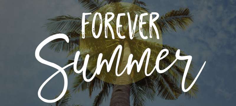 Forever-Summer Stunning Summer Fonts to Add a Splash of Fun to Your Designs