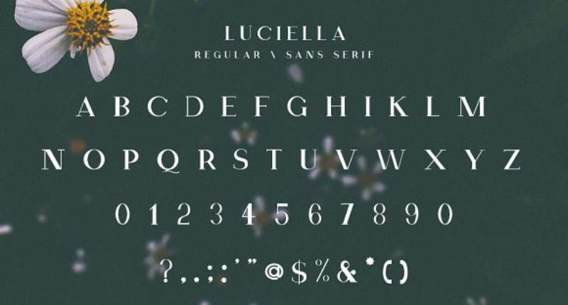 Luciella-Font-Family-1 17 Fashion Fonts That Influence Design and Branding