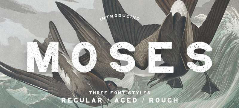 Moses-–-Display-Grotesque-Typeface-1 The Best Egyptian Fonts for Your Ancient and Modern Designs