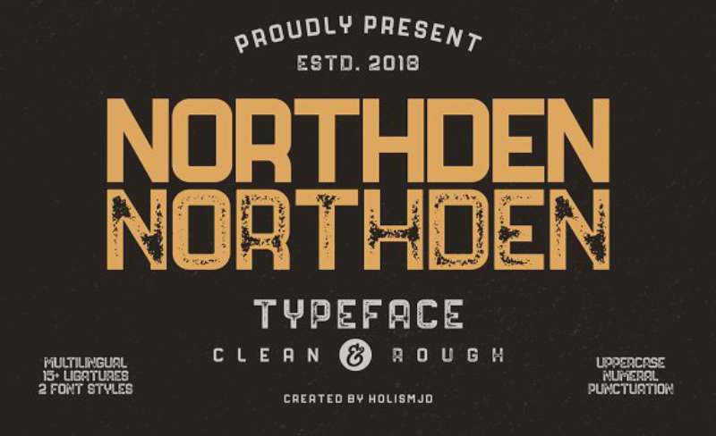 Northden-Clean-and-Rough Masculine Fonts to Match Your Brand's Personality