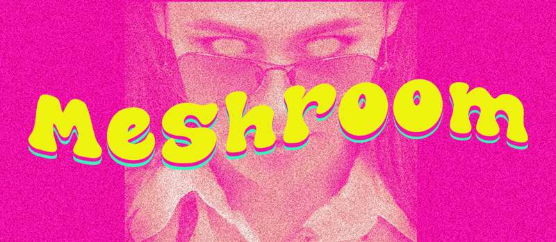 The-Meshroom-By-Atasi-Studio Trippy Fonts That Will Make Your Designs Stand Out