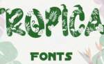 Discover the Perfect Beach Fonts for Your Project