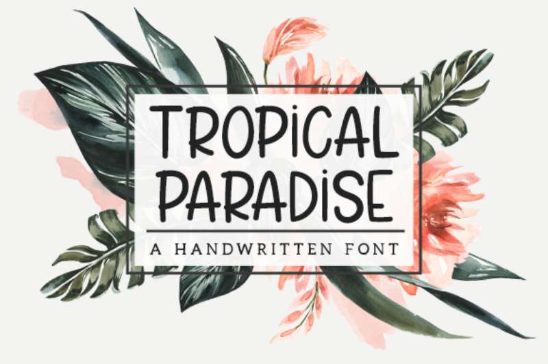 Tropical-Paradise-Font Tropical Fonts for Your Next Design Project