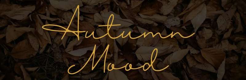 autumn-mood-font-1 Stunning Autumn Fonts to Add a Cozy Touch to Your Designs