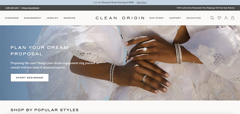 clean-origin 22 Awesome Jewelry Website Design Examples