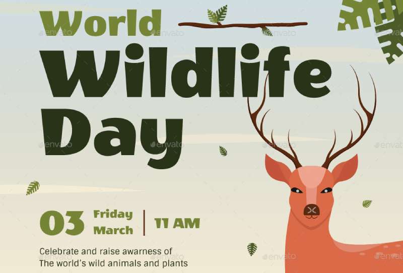 world-wild-life-day-1 Zoo Flyers That Will Make Your Heart Race