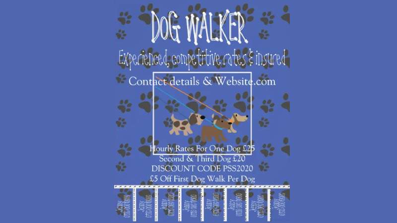 Advertising Top Dog Walking Flyers for Effective Marketing