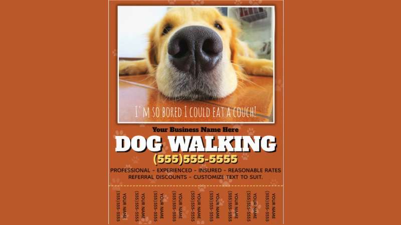Dog-walking-2 Top Dog Walking Flyers for Effective Marketing