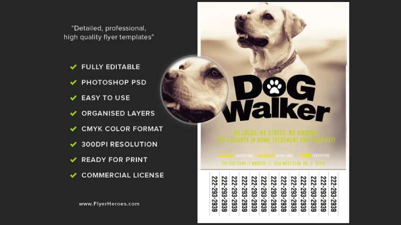 Professional Top Dog Walking Flyers for Effective Marketing