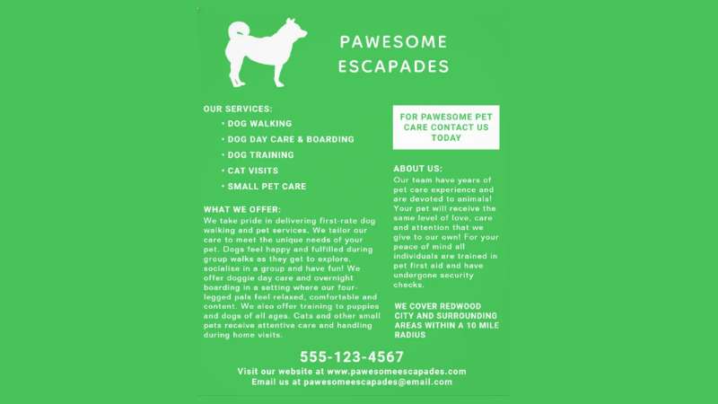 Zazzle Top Dog Walking Flyers for Effective Marketing
