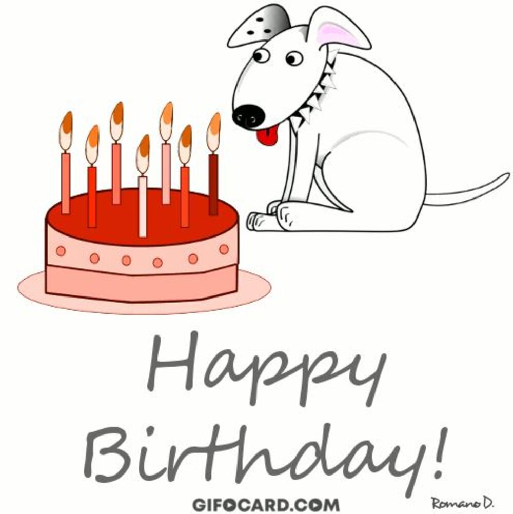 11 20+ Cute and Funny Happy Birthday Free Animated GIFs