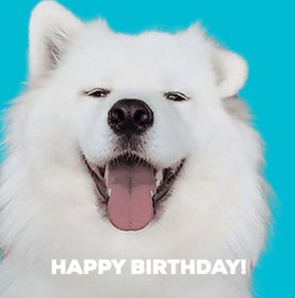 2 20+ Cute and Funny Happy Birthday Free Animated GIFs