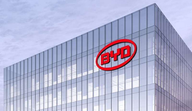 The BYD Logo History, Colors, Font, and Meaning