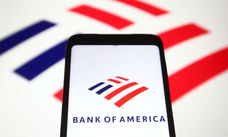 digital-1-3 The Bank of America logo History, Colors, Font, and Meaning
