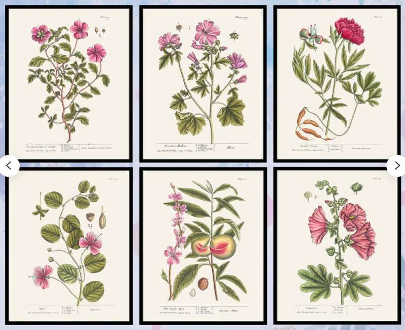 2023-06-20-185544 Discover Vintage Botanical Posters: 23 Examples