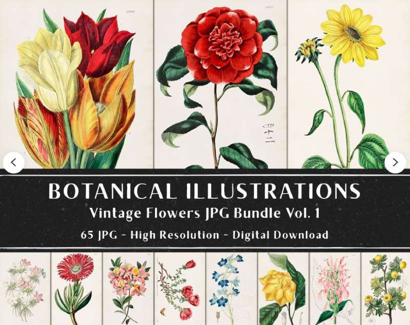 2023-06-20-190217 Discover Vintage Botanical Posters: 23 Examples