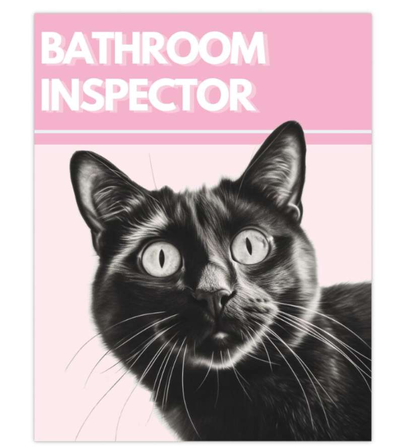 2023-06-21-194527 Funny Cat Posters For Every Room: 27 Examples