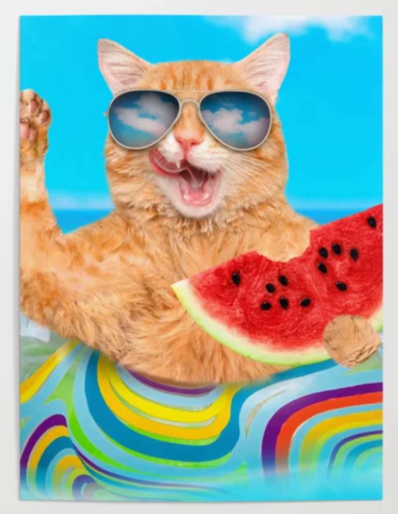 2023-06-21-195523 Funny Cat Posters For Every Room: 27 Examples