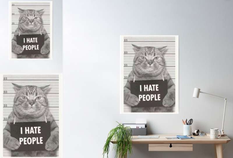 2023-06-21-200002 Funny Cat Posters For Every Room: 27 Examples