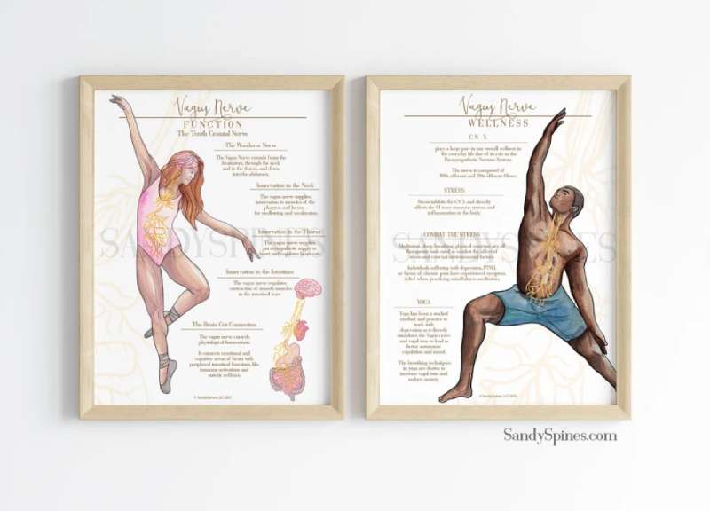 2023-06-22-194925 Transform Your Space With Vibrant Health And Wellness Posters