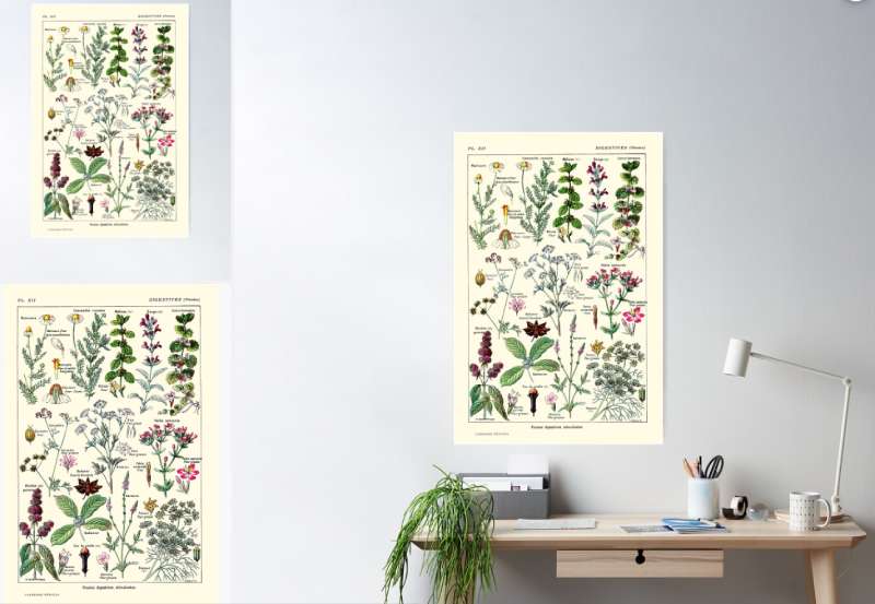 2023-06-26-1502250 Botanical Posters: Bringing the Outdoors into Your Home