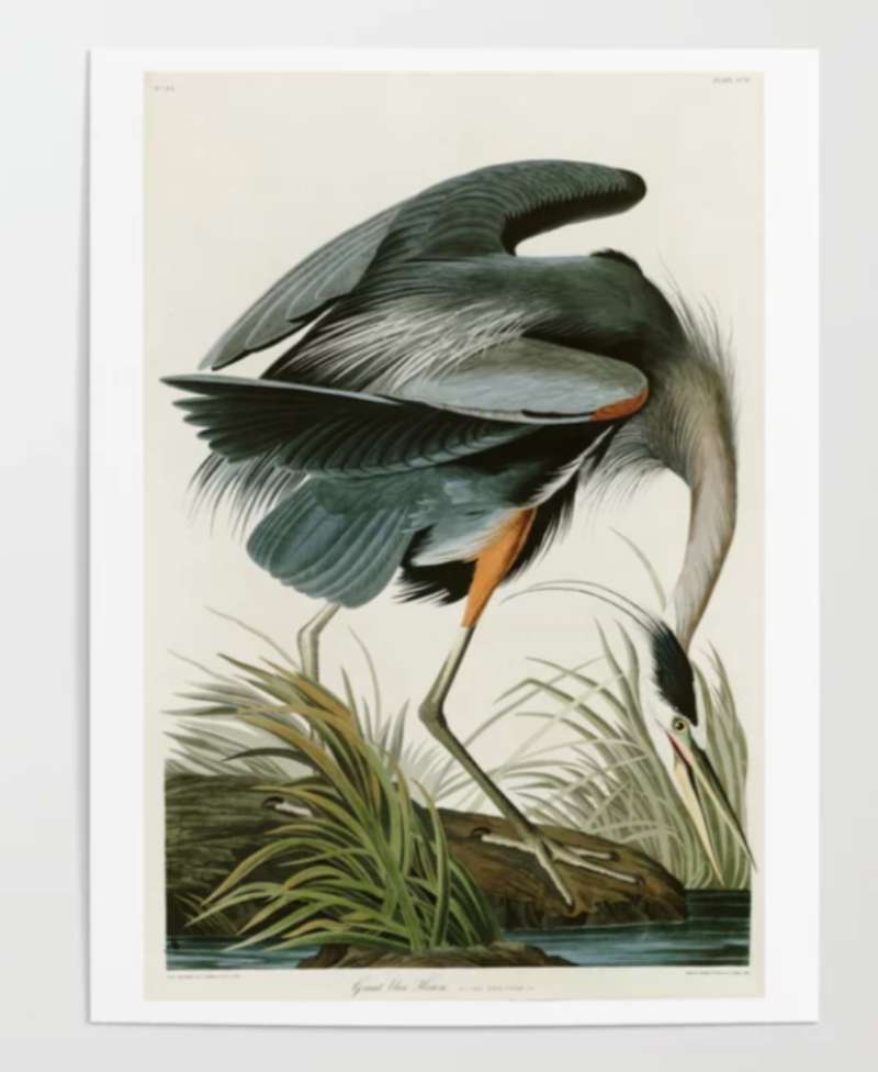 2023-07-07-220824 Captivating Wildlife Posters for Nature Enthusiasts