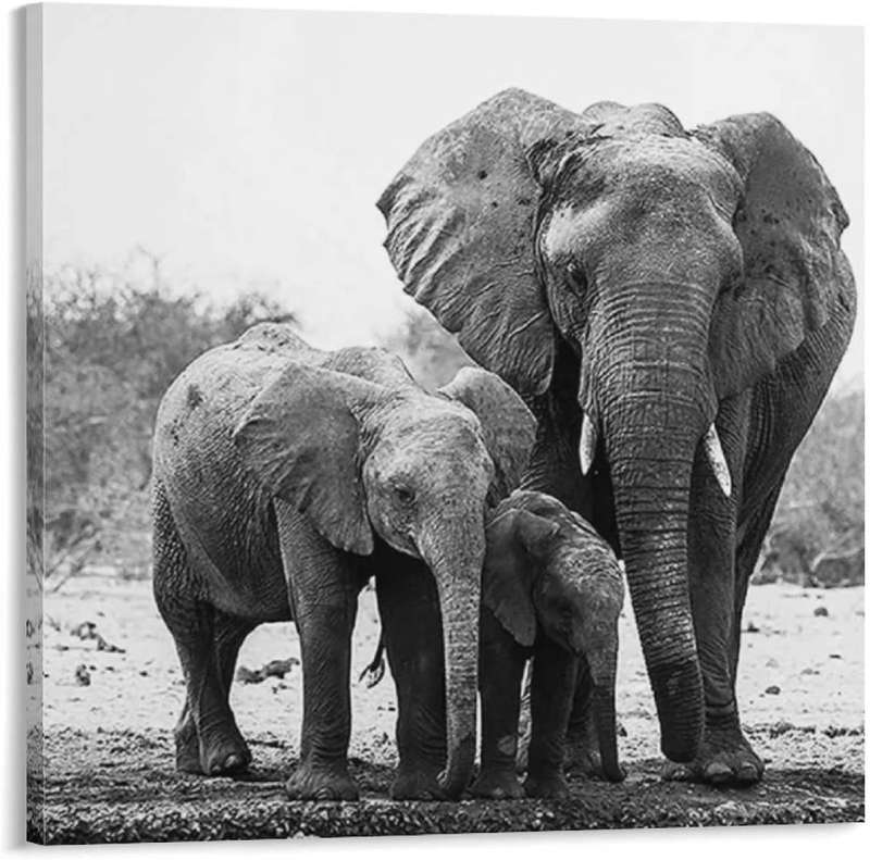 71T6FztUhtL._AC_SL1500_ Captivating Wildlife Posters for Nature Enthusiasts