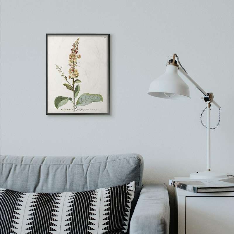 817lEkU4pNL._AC_SL1500_0 Botanical Posters: Bringing the Outdoors into Your Home