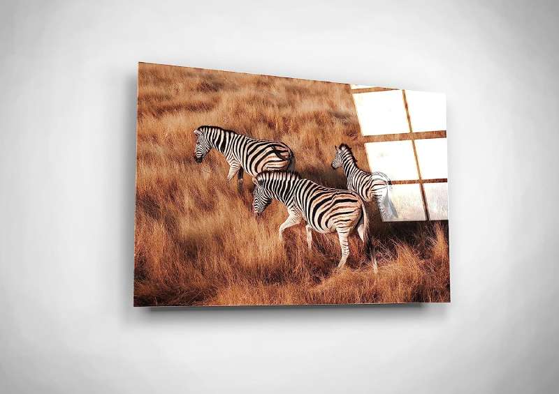 81Rz21C6YbL._AC_SL1500_ Captivating Wildlife Posters for Nature Enthusiasts