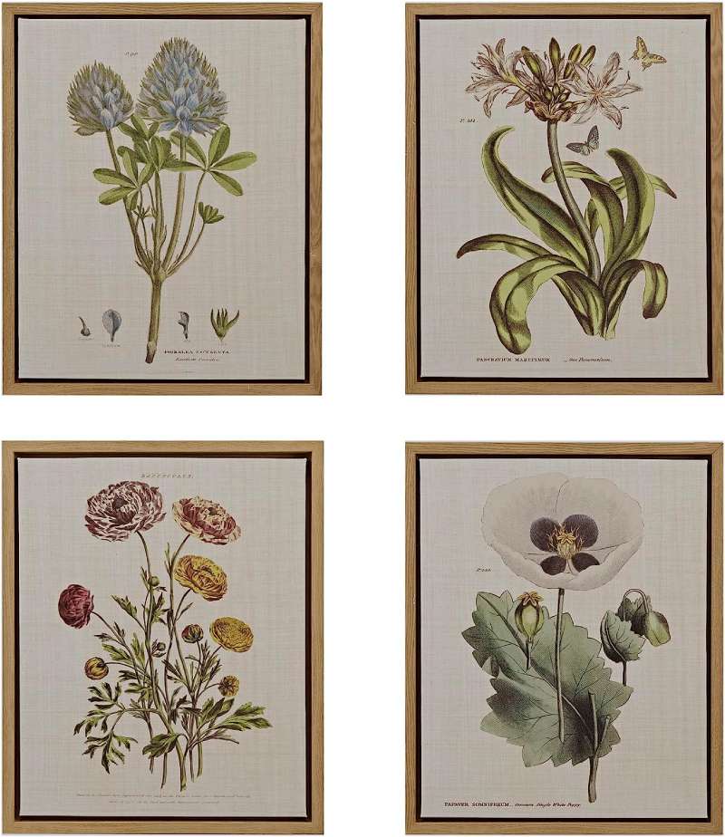 81YmqmmfNjL._AC_SL1500_-3 Discover Vintage Botanical Posters: 23 Examples