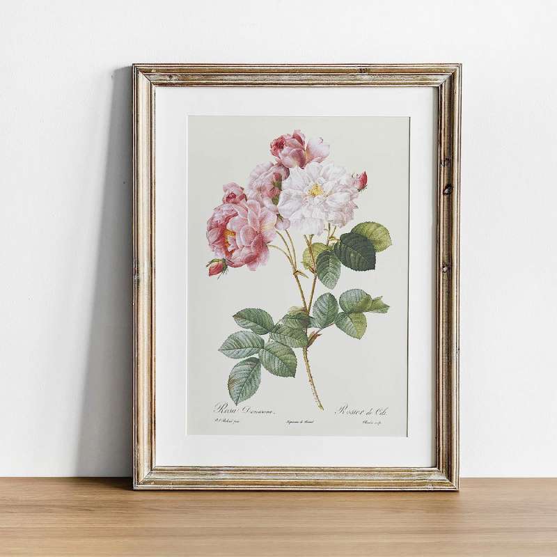 81qScpyitzL._AC_SL1500_0 Botanical Posters: Bringing the Outdoors into Your Home