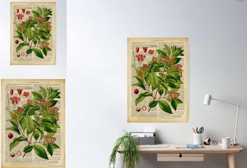Screenshot-2023-06-20-193703-1 Discover Vintage Botanical Posters: 23 Examples