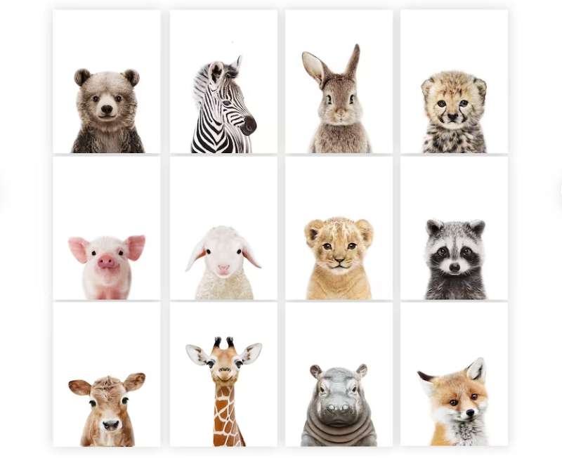 2023-07-09-152600 Adorn Your Walls with Striking Animal Posters
