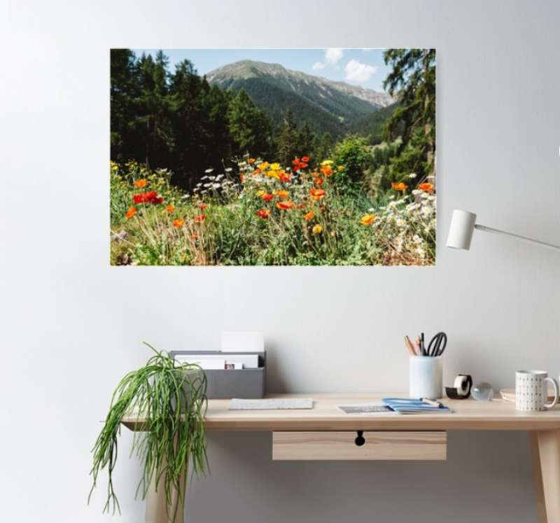 2023-07-23-175726 Transform Your Décor with Nature Posters