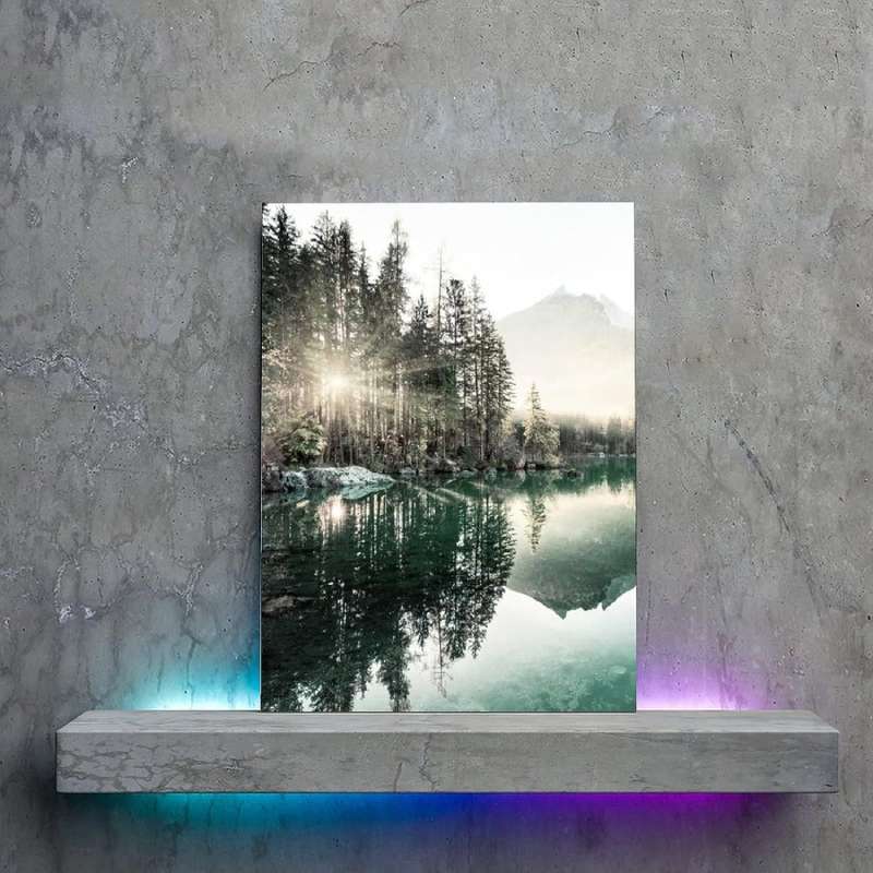 71Ggz9PxaqL._AC_SL1500_ Transform Your Décor with Nature Posters