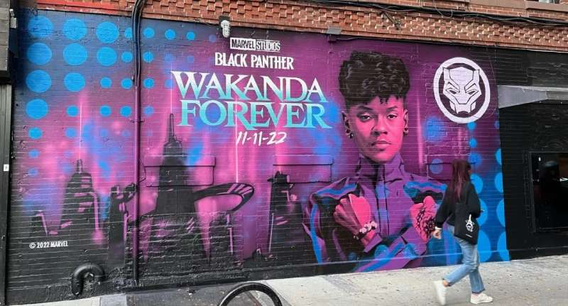 Black Panther Logo