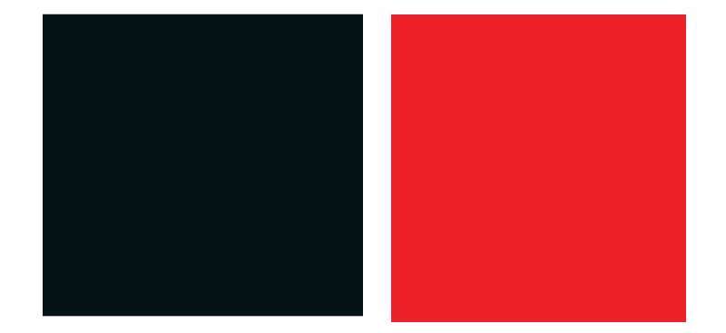 Black Widow logo