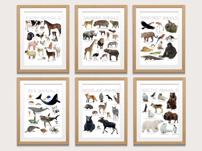 il_1140xN.4709053226_6gzs Adorn Your Walls with Striking Animal Posters