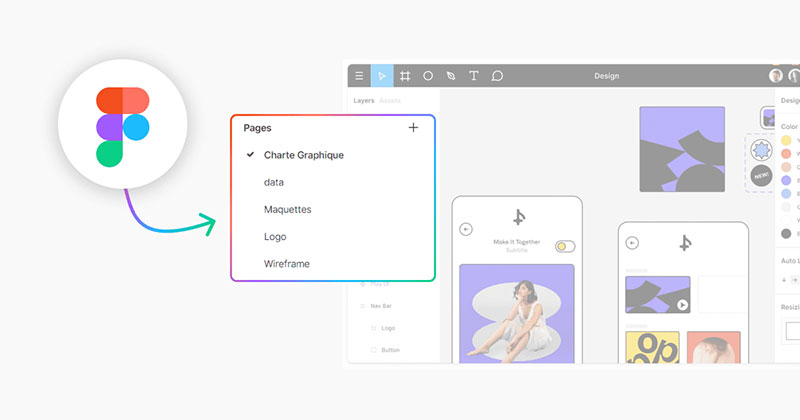 figma Your Step-by-Step Guide on How to Become a Web Designer