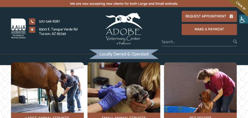 Adobe-Veterinary-Center Best Veterinary Websites: Designs to Check Out