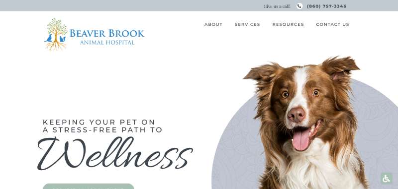 Beaver-Brook-Animal-Hospital Best Veterinary Websites: Designs to Check Out